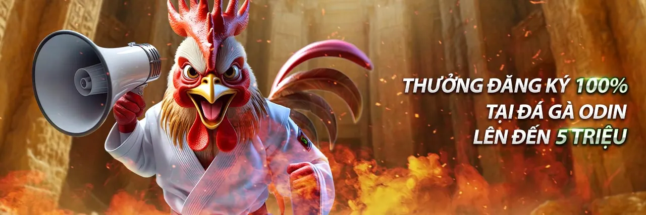 Sân vận động với trận đấu bóng đá đang diễn ra, biểu tượng của cá cược thể thao momo88